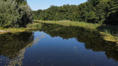 Софія Резнік поділилася дитячими спогадами про Кремінну